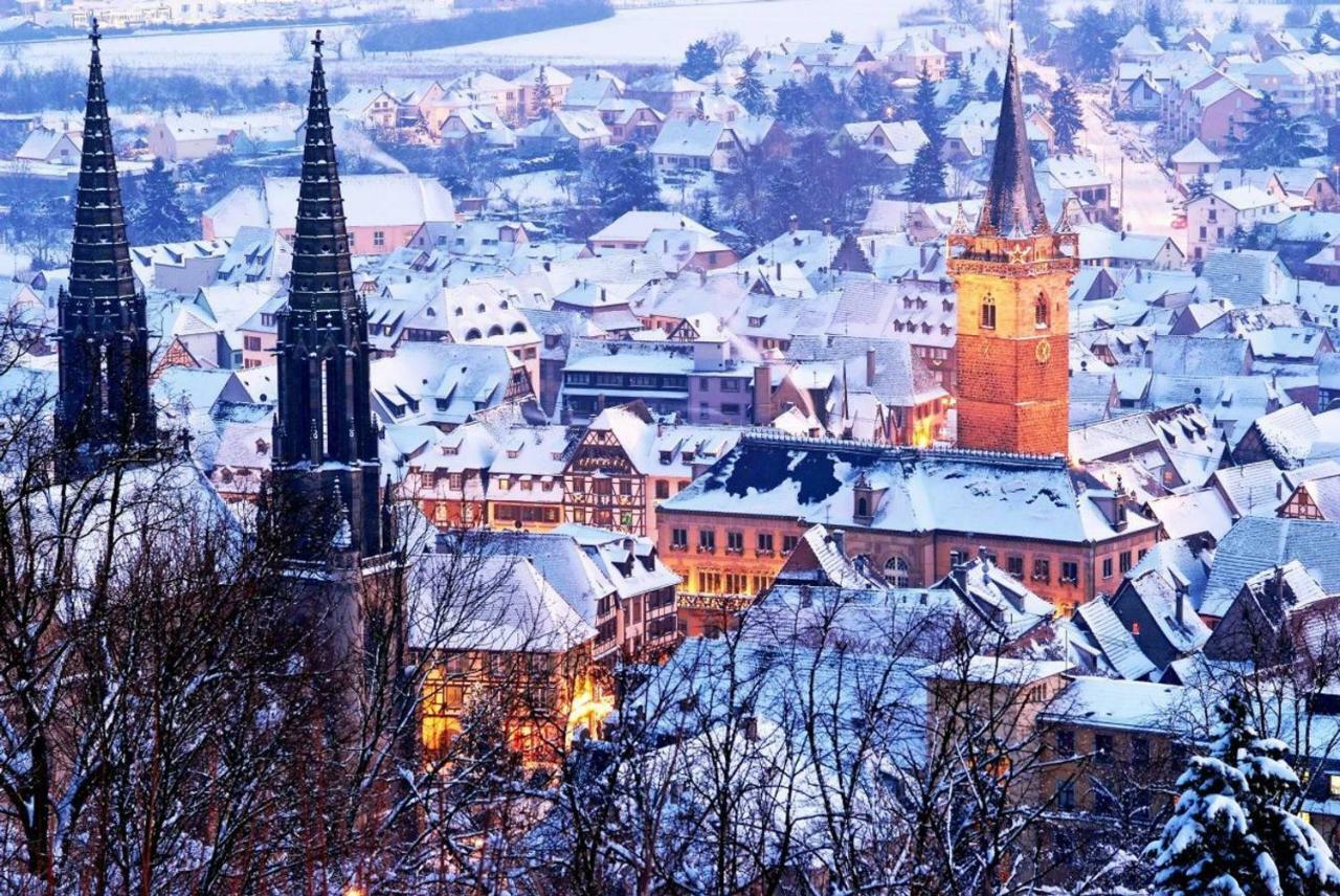Nid Douillet A Obernai Daire Dış mekan fotoğraf